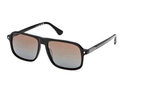 Sunglasses Web Eyewear WE0396 05F