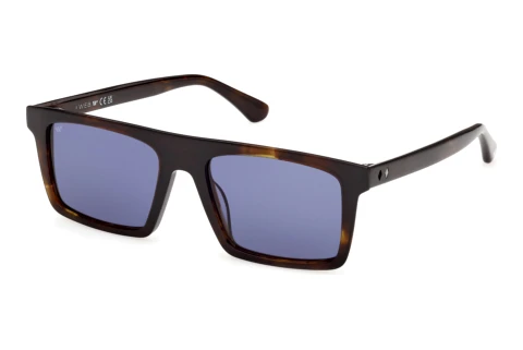 Sunglasses Web Eyewear WE0397 52V