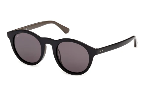 Sunglasses Web Eyewear WE0398 05A