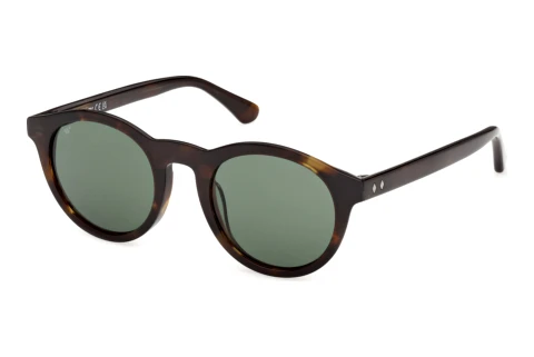 Sunglasses Web Eyewear WE0398 52N