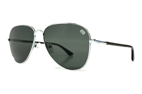 Sunglasses Wood Fellas Eberburg (10786 black oak/silver shiny)