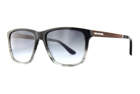 Sunglasses Wood Fellas Focus (11716 macassar/black grey)