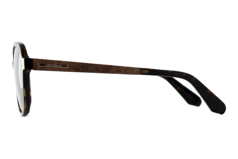 Sunglasses Wood Fellas SIROCCO (11749 curled/havana)