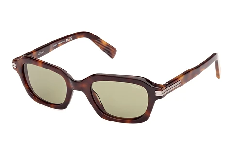 Sunglasses Zegna EZ0239 52N