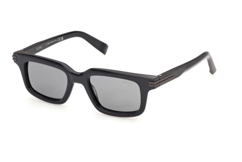 Sunglasses Zegna EZ0312 20A