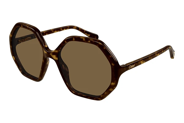 Sunglasses Chloé CC0004S 008