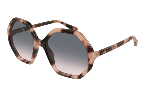 Sunglasses Chloé CC0004S 009