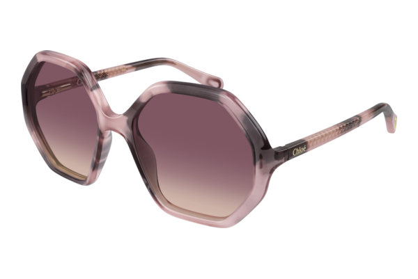 Sunglasses Chloé CC0004S 010