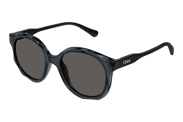 Sunglasses Chloé CC0019S 001