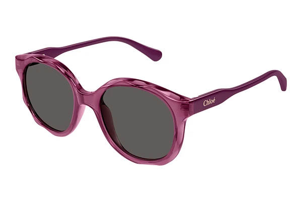 Sunglasses Chloé CC0019S 003