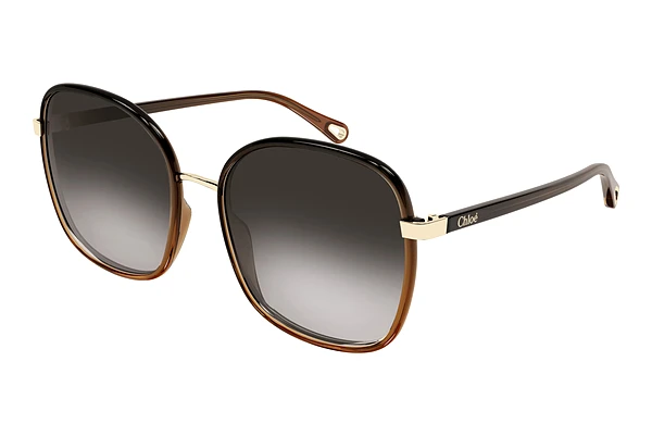 Sunglasses Chloé CH0031S 005