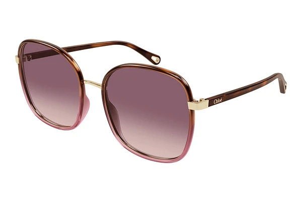 Sunglasses Chloé CH0031S 016
