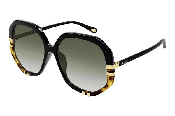 Sunglasses Chloé CH0105S 002