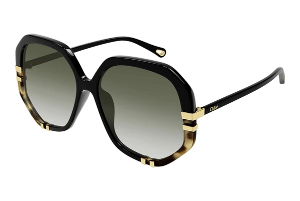 Sunglasses Chloé CH0105S 006