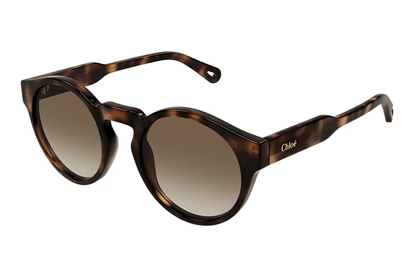 Sunglasses Chloé CH0158S 002