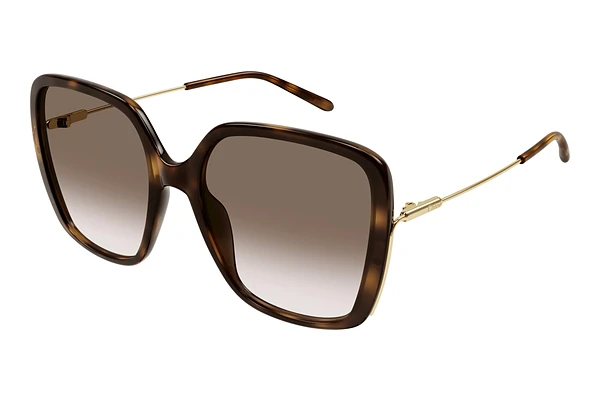 Sunglasses Chloé CH0173S 002