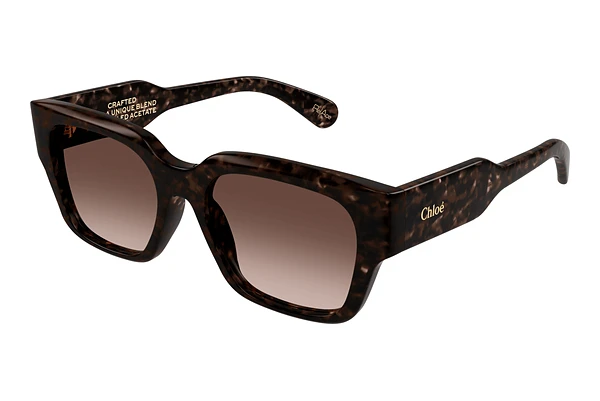 Sunglasses Chloé CH0190S 002