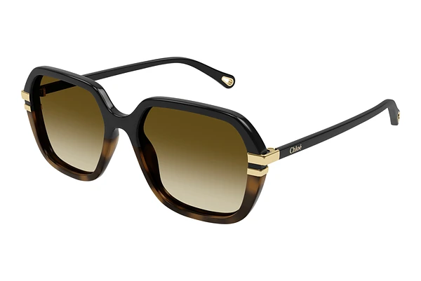 Sunglasses Chloé CH0204S 003