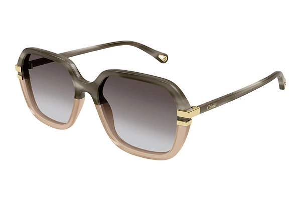 Sunglasses Chloé CH0204S 004