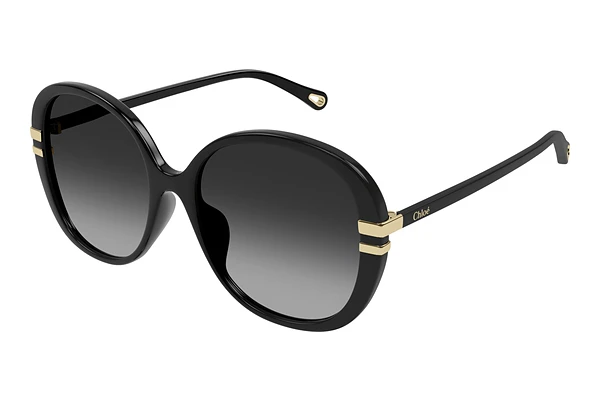 Sunglasses Chloé CH0207SK 001
