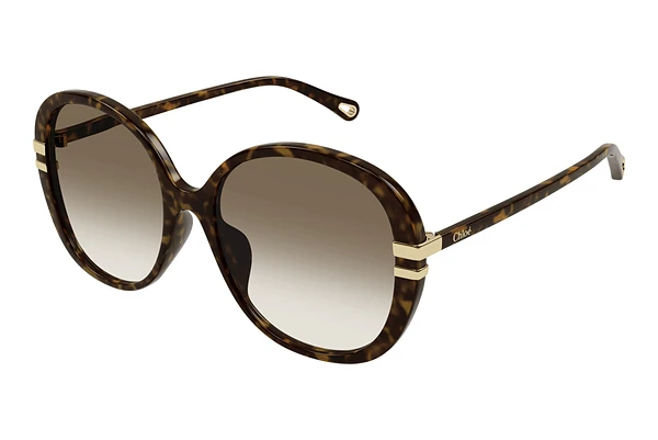 Sunglasses Chloé CH0207SK 002