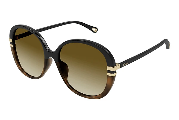 Sunglasses Chloé CH0207SK 003