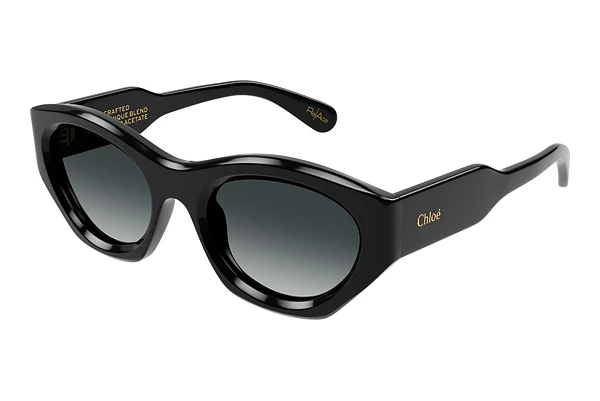 Sunglasses Chloé CH0220S 001
