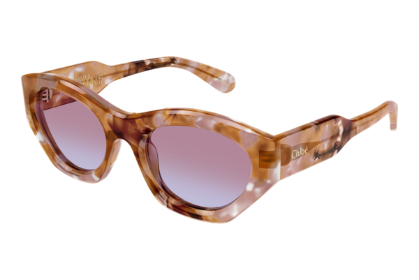 Sunglasses Chloé CH0220S 013
