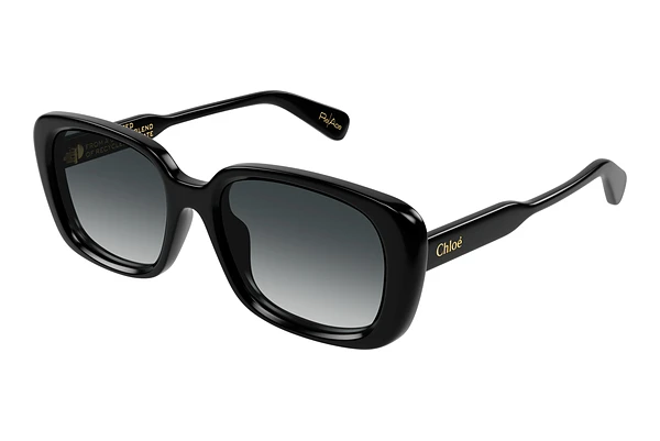 Sunglasses Chloé CH0225SK 001