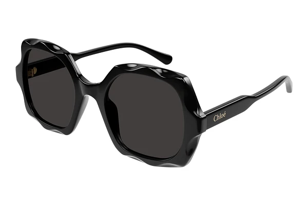 Sunglasses Chloé CH0226S 005