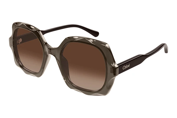 Sunglasses Chloé CH0226S 007