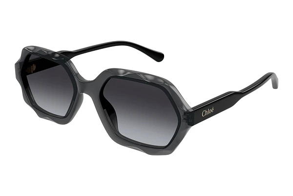 Sunglasses Chloé CH0227S 001