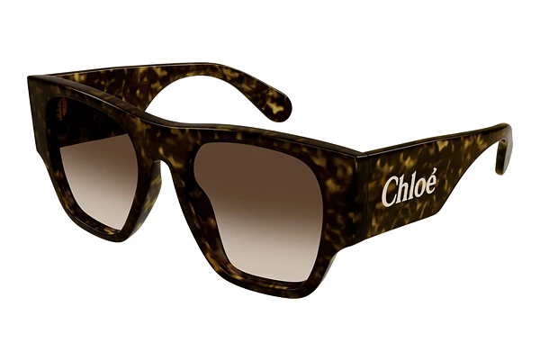 Sunglasses Chloé CH0233S 002