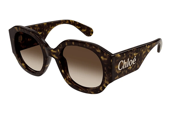 Sunglasses Chloé CH0234S 002