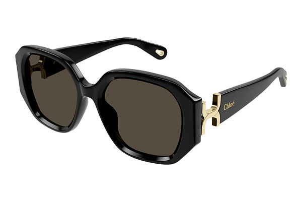 Sunglasses Chloé CH0236S 001