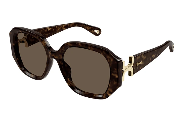 Sunglasses Chloé CH0236S 002