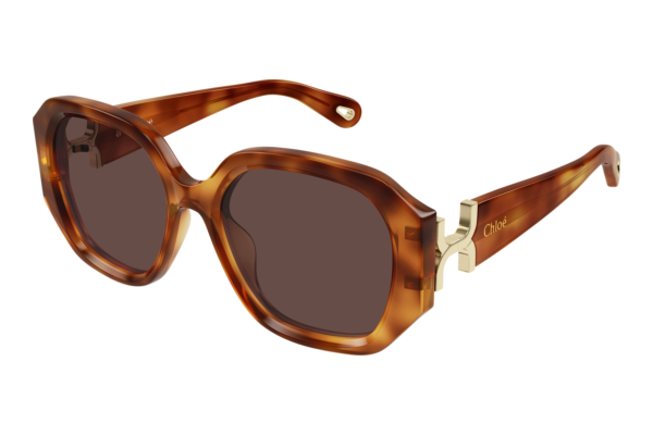 Sunglasses Chloé CH0236S 006