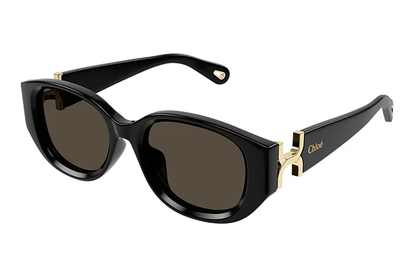 Sunglasses Chloé CH0237SK 001