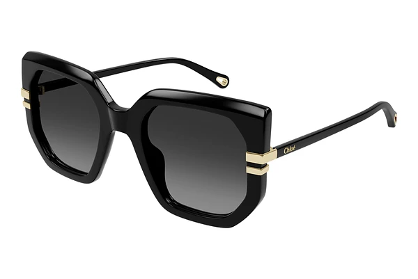 Sunglasses Chloé CH0240S 001