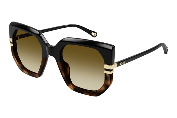 Sunglasses Chloé CH0240S 003