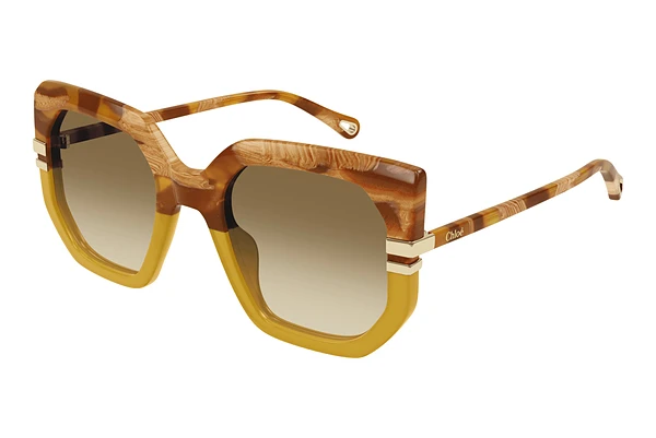 Sunglasses Chloé CH0240S 004