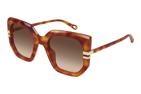 Sunglasses Chloé CH0240S 007