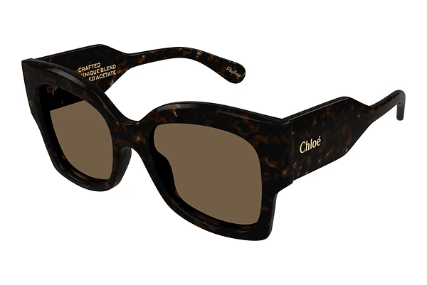Sunglasses Chloé CH0252S 002
