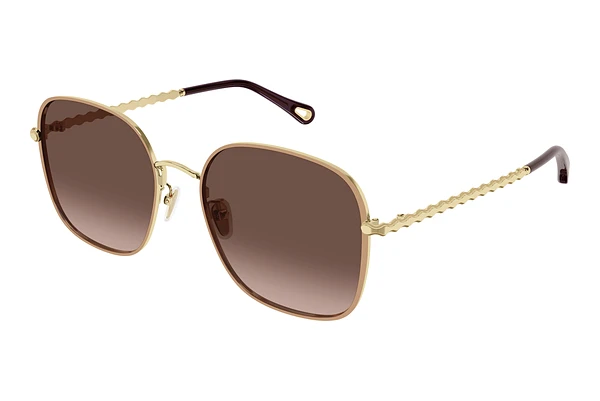 Sunglasses Chloé CH0255SK 004