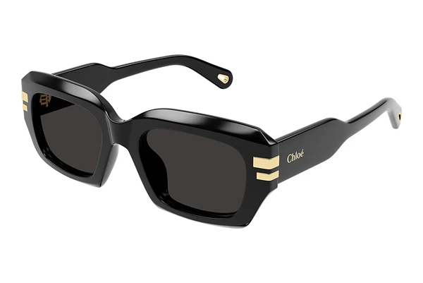 Sunglasses Chloé CH0256S 001