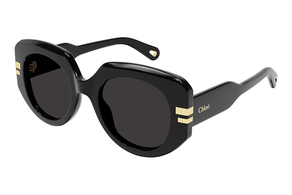 Sunglasses Chloé CH0257S 001