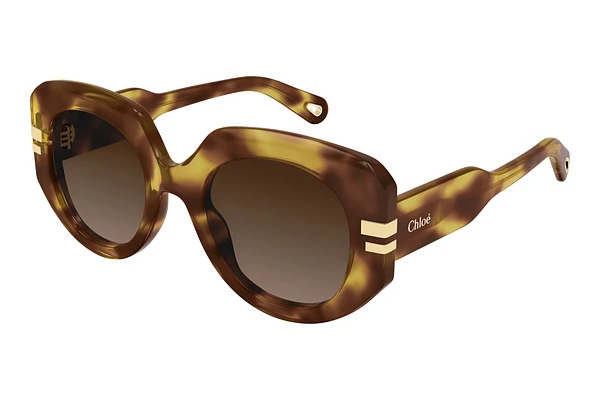 Sunglasses Chloé CH0257S 002