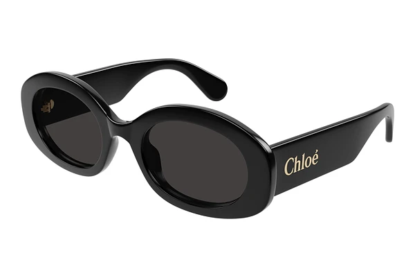 Sunglasses Chloé CH0258S 001