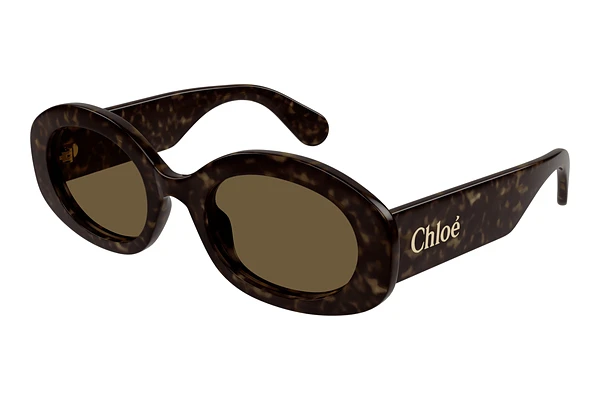 Sunglasses Chloé CH0258S 002