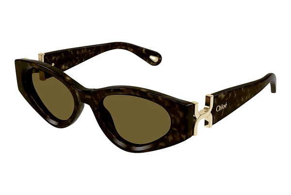 Sunglasses Chloé CH0259S 002